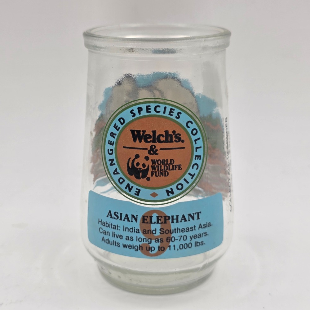 Welch's Endangered Species Collection Asian Elephant #9 Vintage Jelly Jar Glass